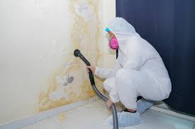 Best Biohazard Mold Removal  in Raytown, MO